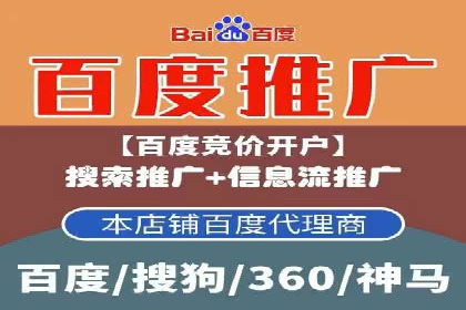 知名SEM公司案例分析：优化策略与成果